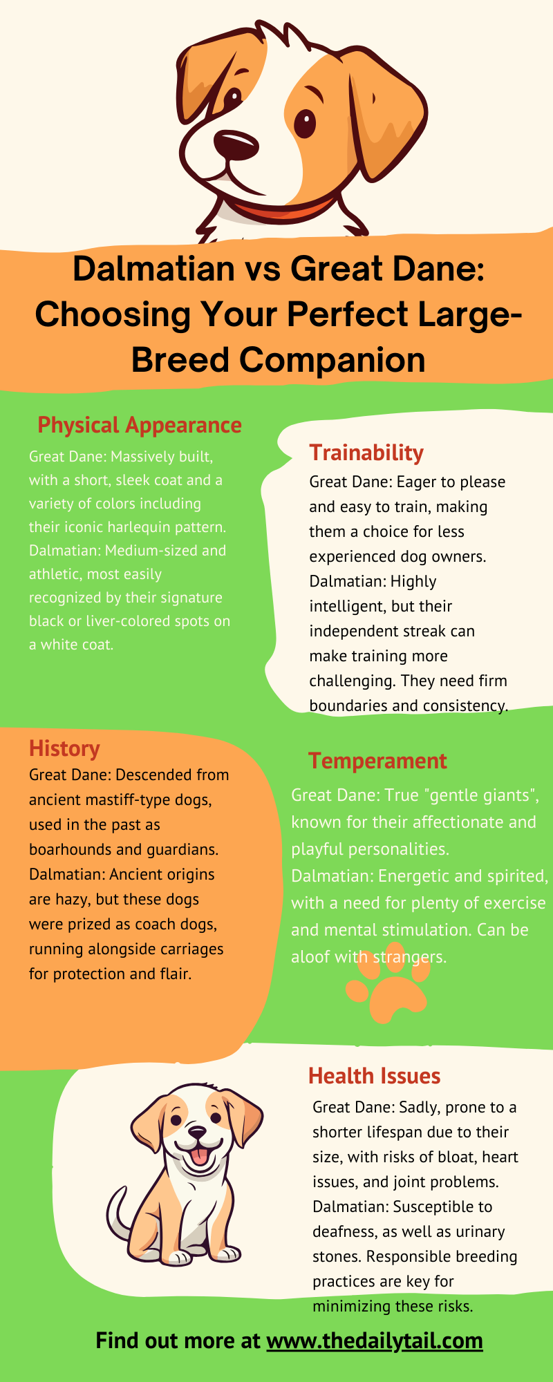 dalmatian vs great dane infographic