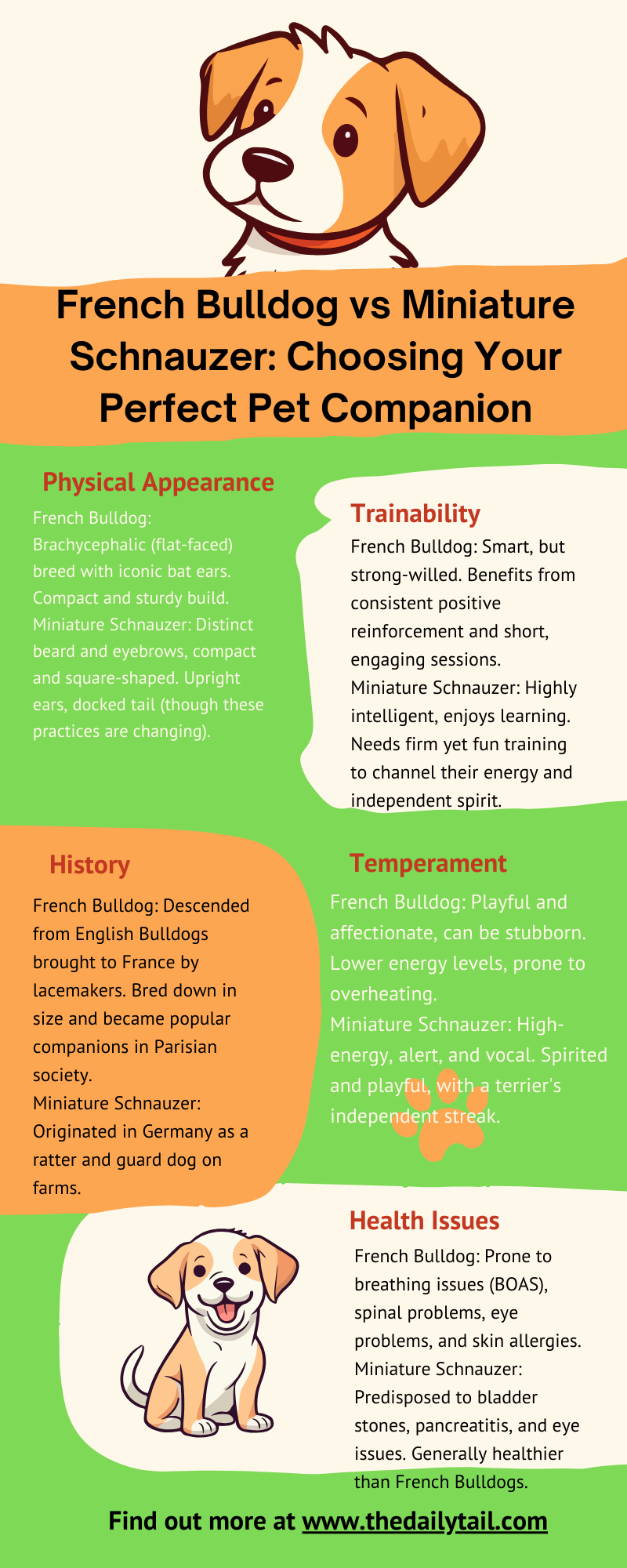 french bulldog vs Miniature Schnauzer infographic