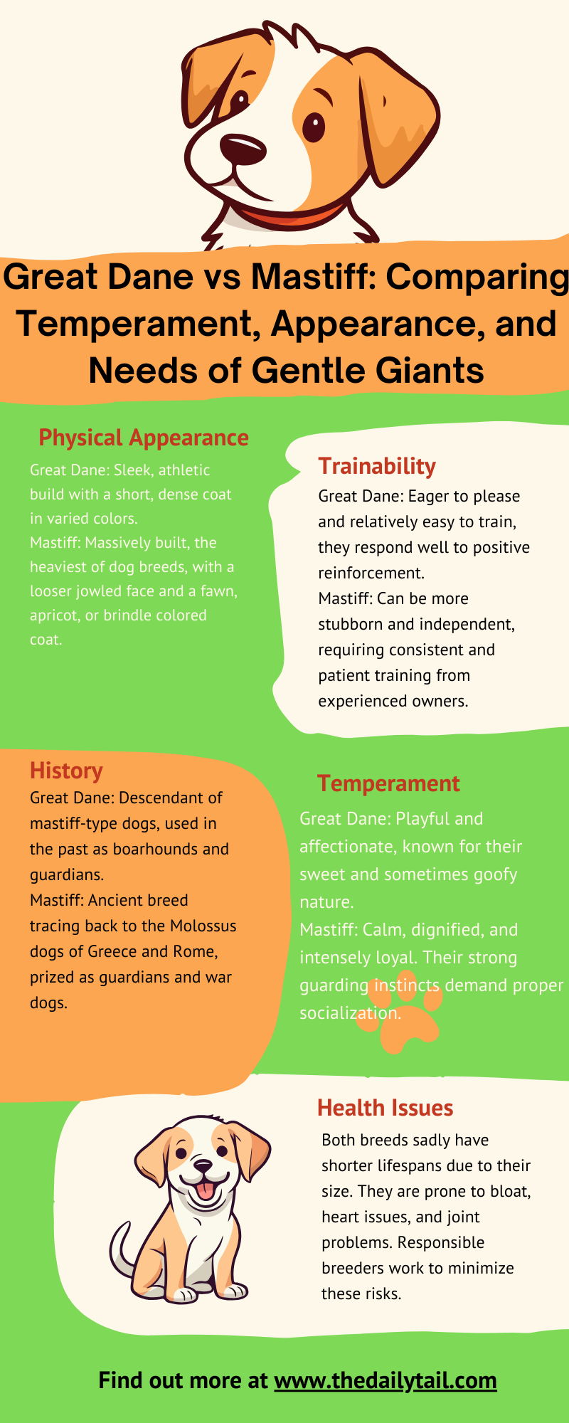 great dane vs mastiff infographic