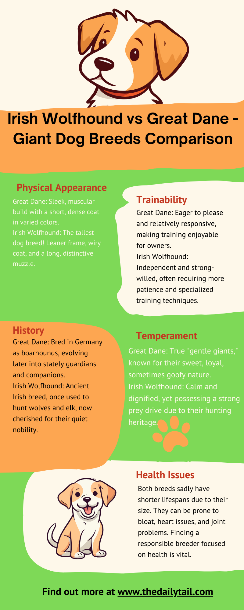 irish wolfhound vs great dane infographic