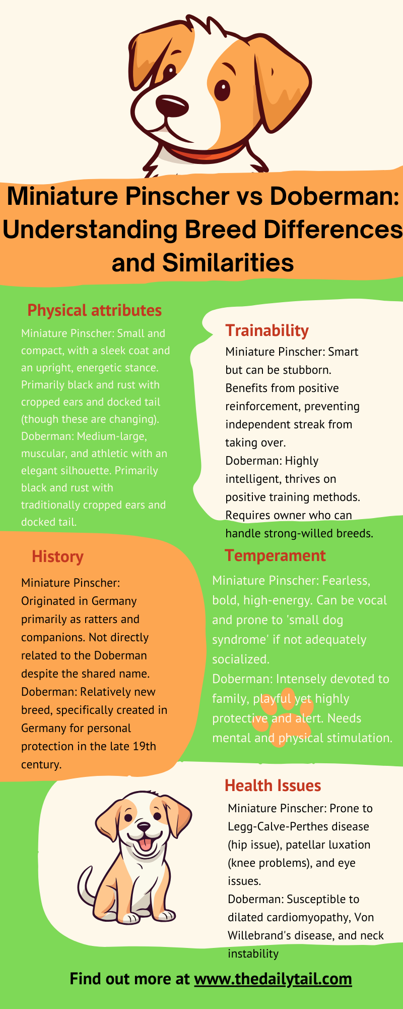 miniature Pinscher vs Doberman infographic