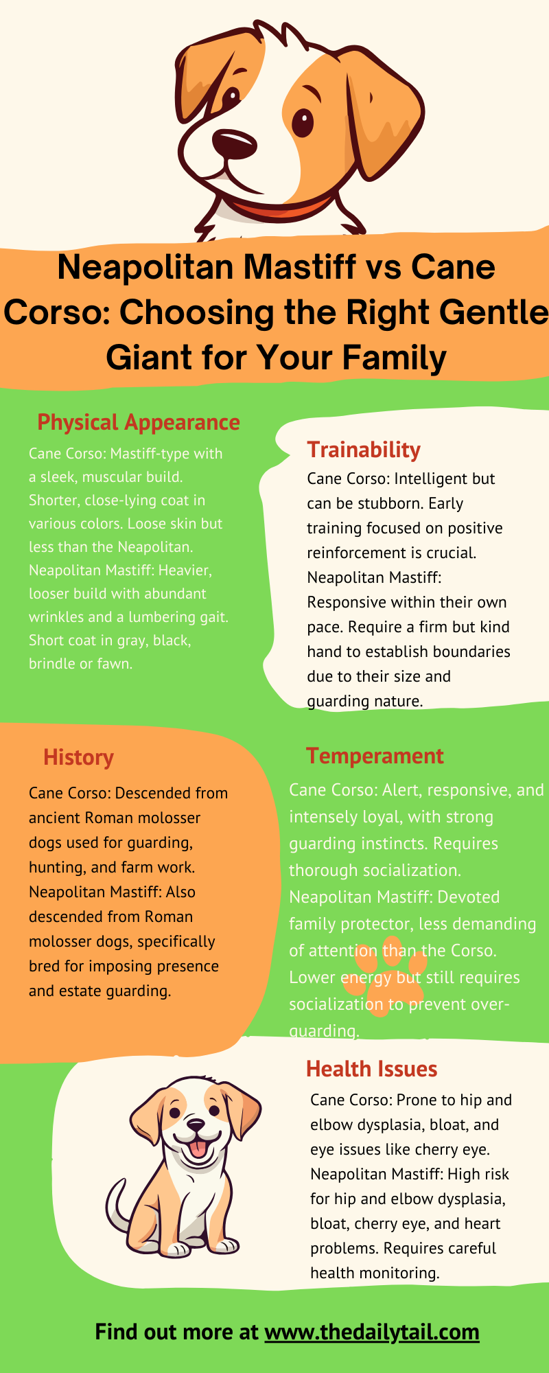 neapolitan mastiff vs cane corso infographic