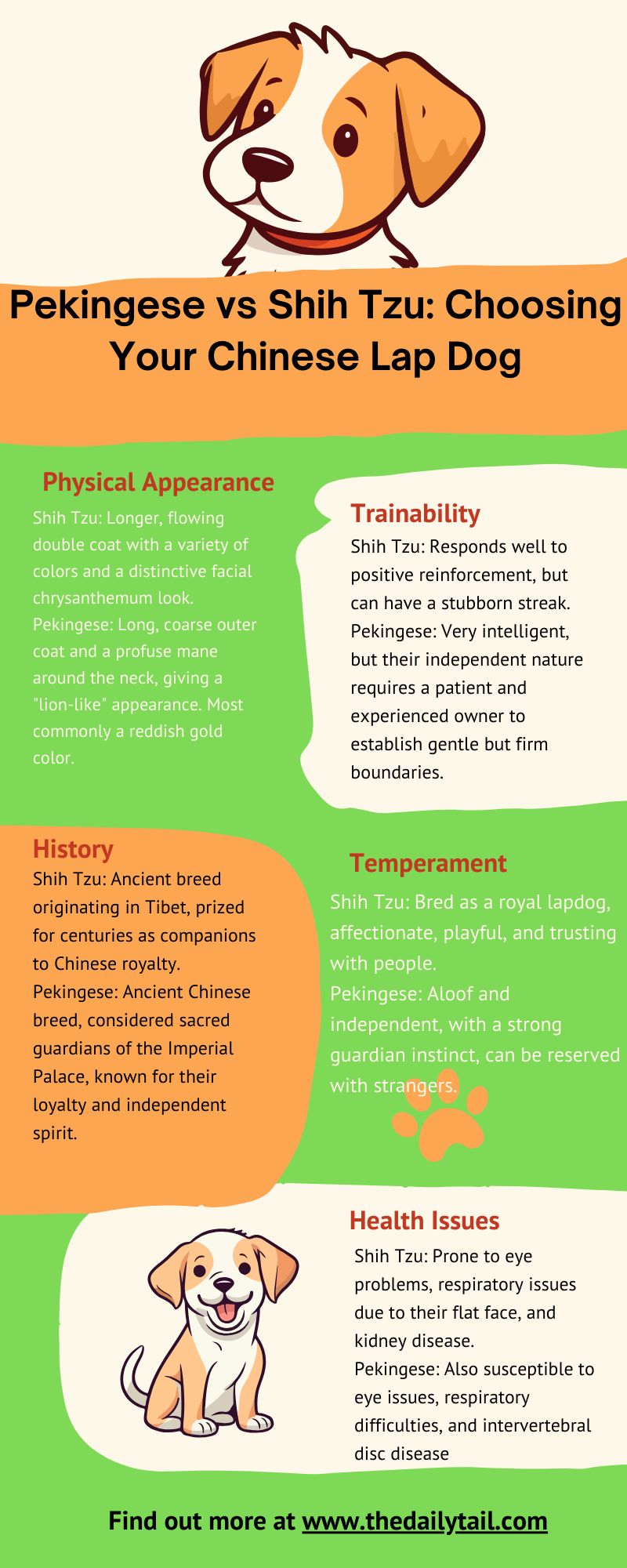 pekingese vs shih tzu infographic