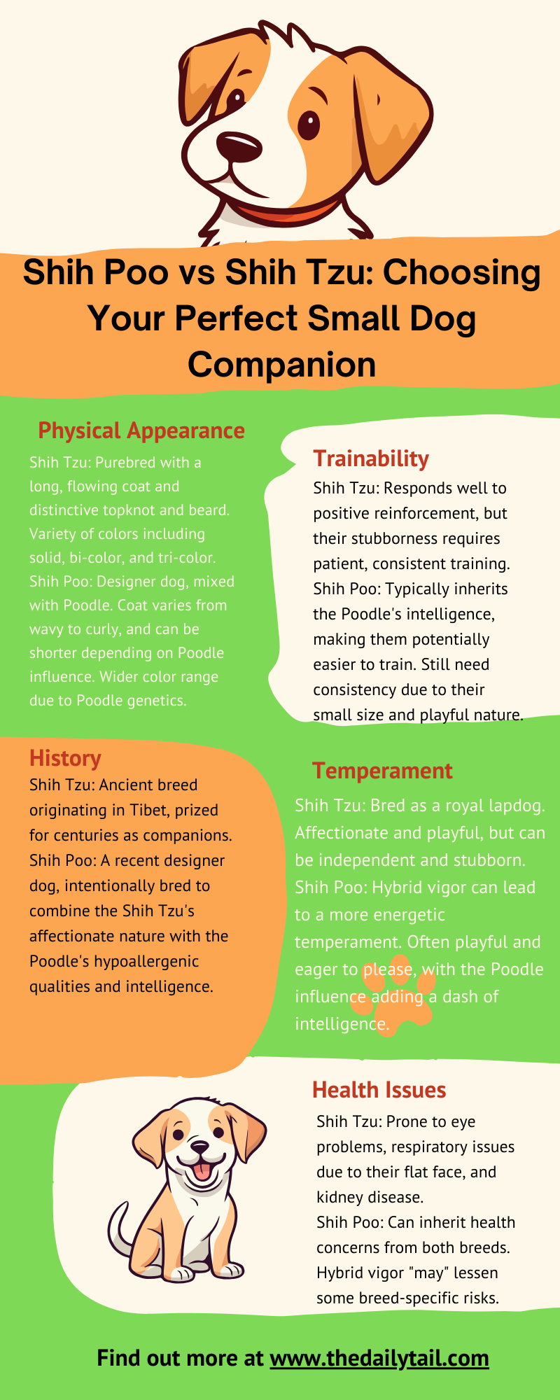 shih poo vs shih tzu infographic