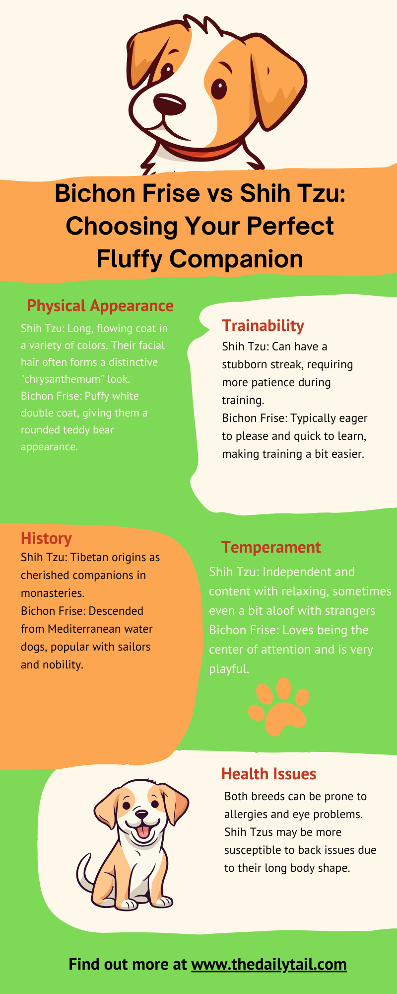 Shih Tzu vs Bichon Frise infographic