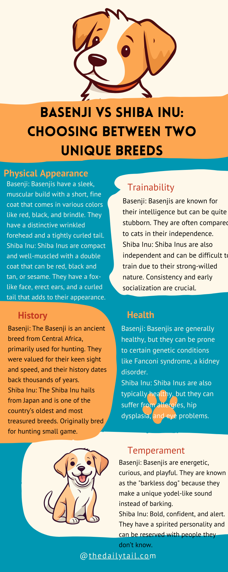 basenji vs shiba inu infographic