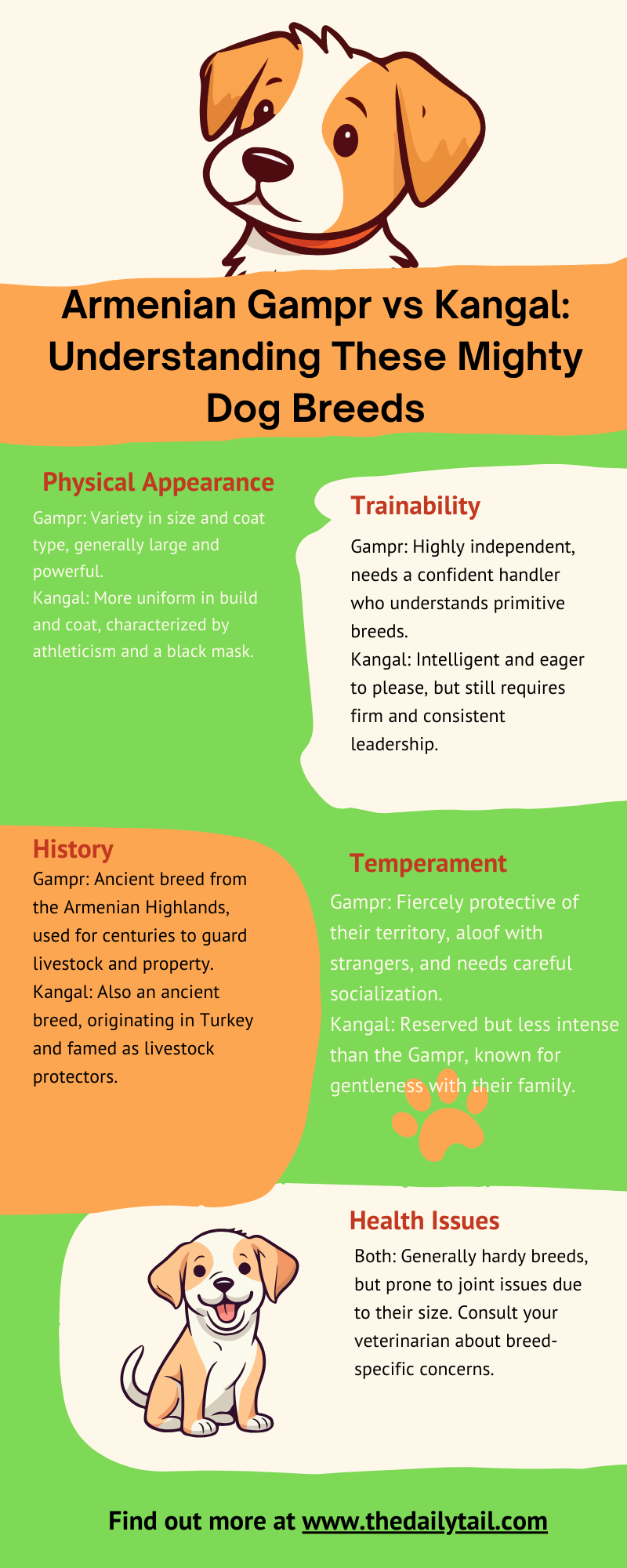 Armenian Gampr vs Kangal infographic