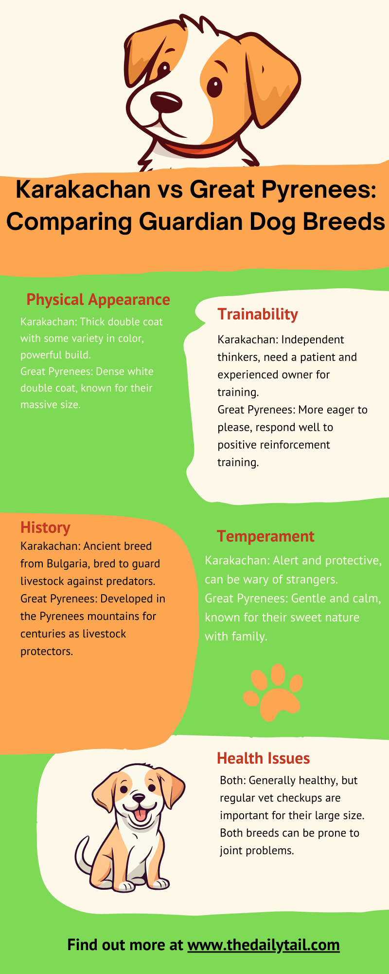 Karakachan vs Great Pyrenees infographic