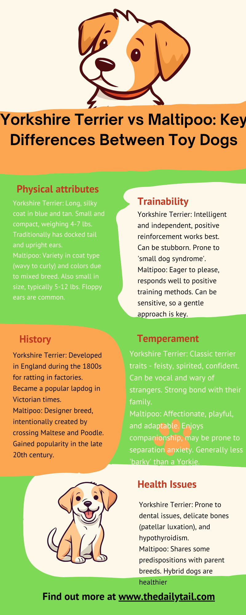 Yorkshire Terrier vs Maltipoo infographic