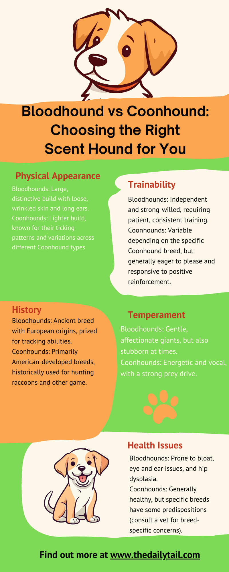 bloodhound vs coonhound infographic