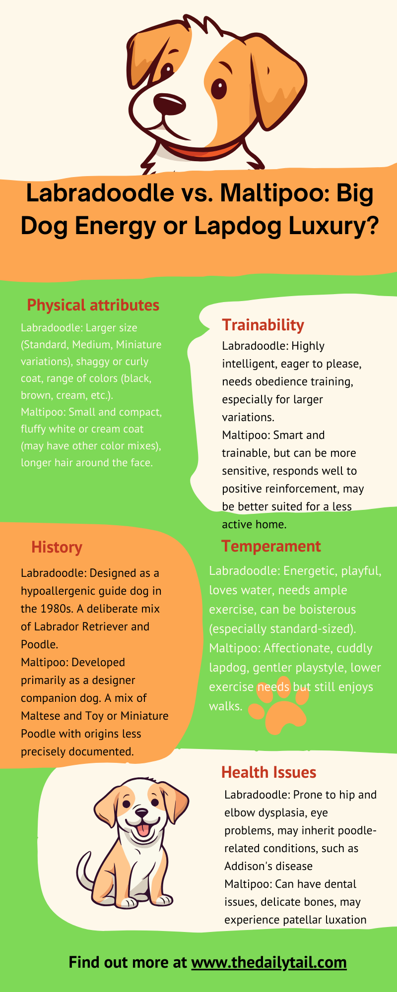 labradoodle vs maltipoo infographic