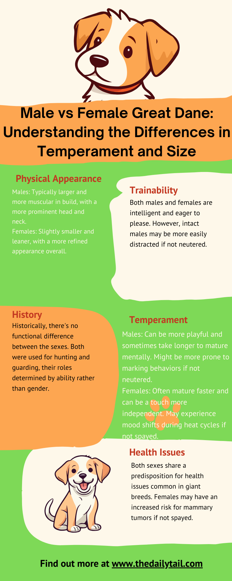 male vs female great dane infographic