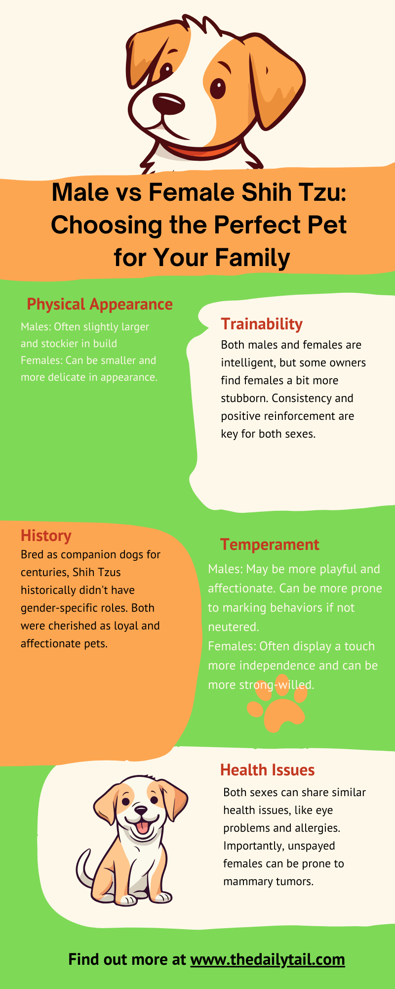 male vs female shih tzu infographic