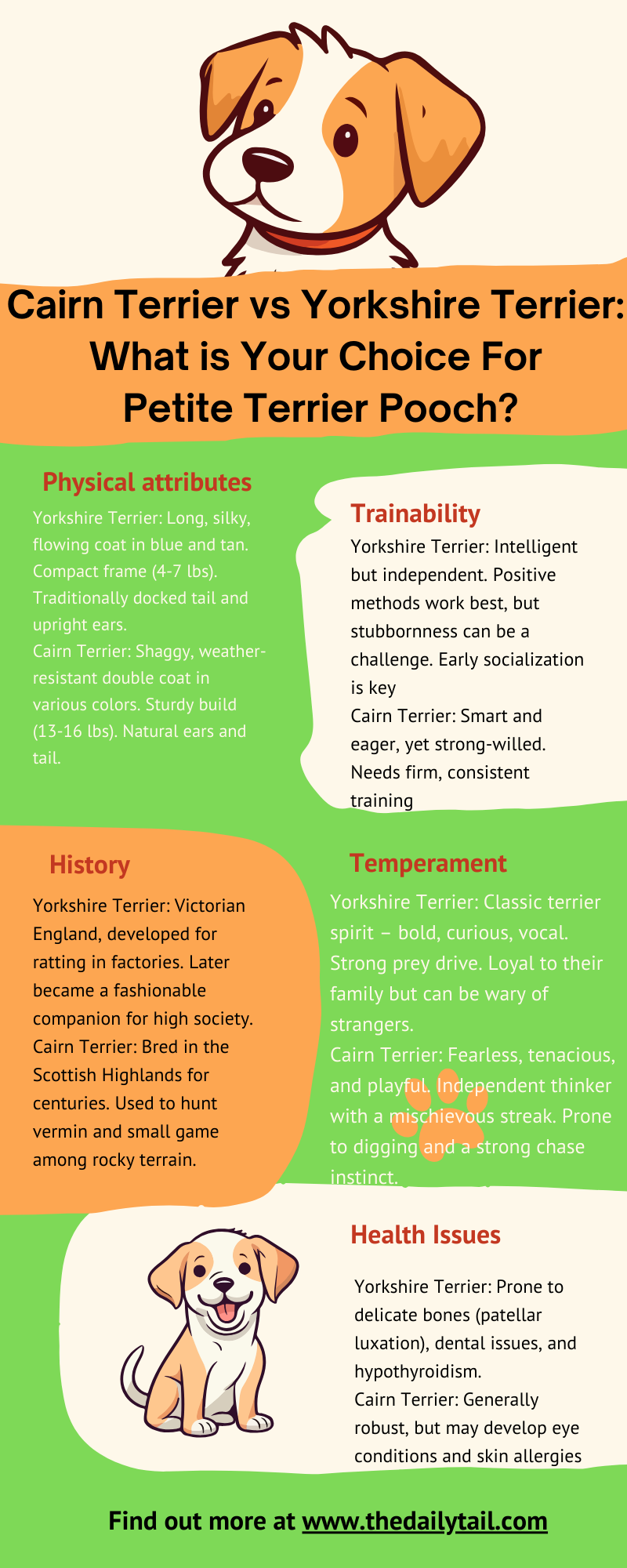 yorkshire terrier vs cairn terrier infographic