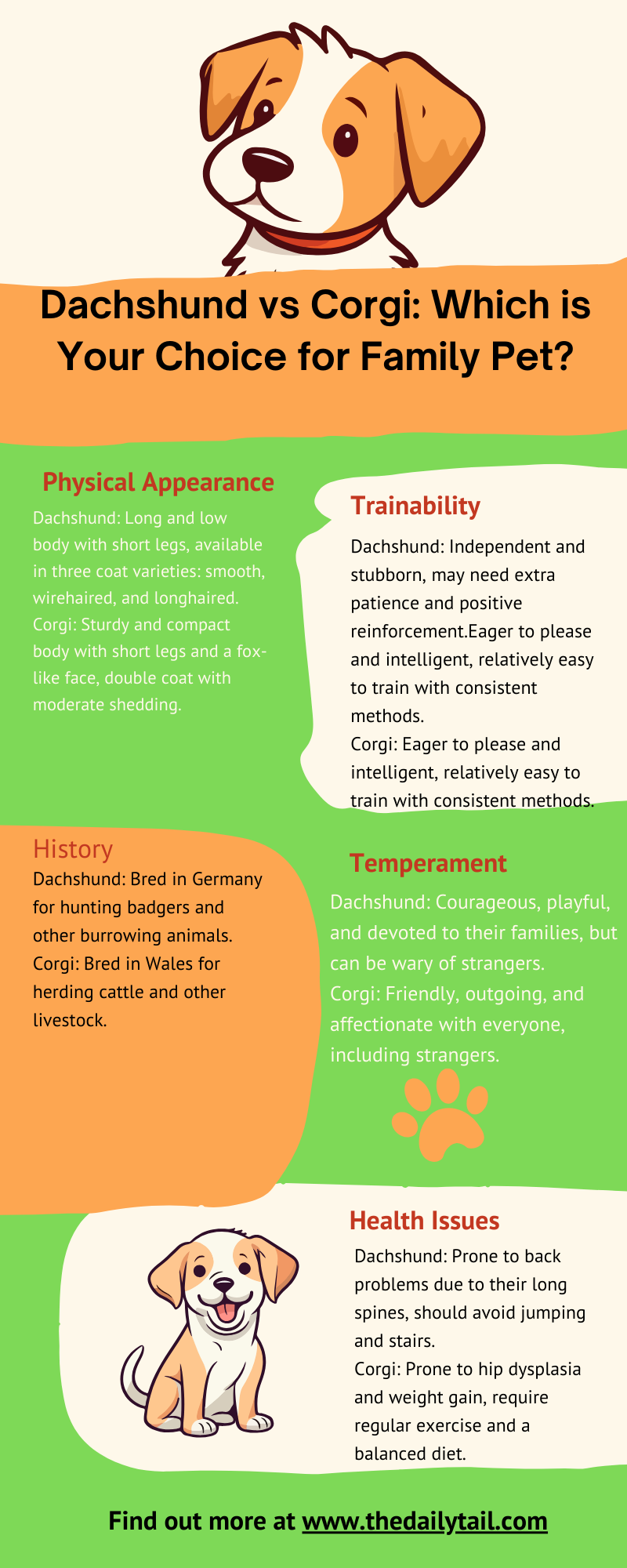 dachshund vs corgi infographic