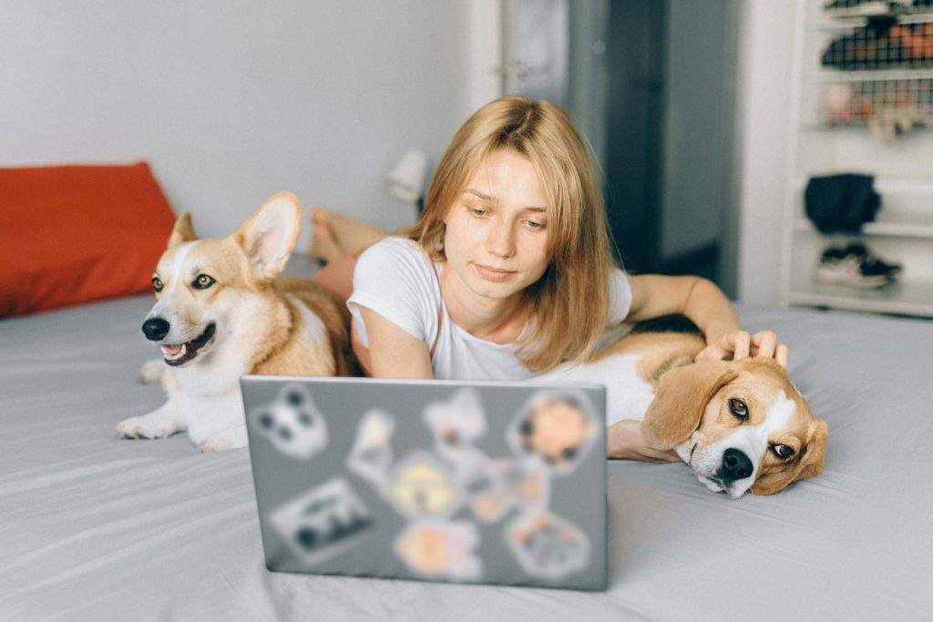 How to Make Your Dog Feel Comfortable in a New Home 25 pexels n voitkevich 5122172
