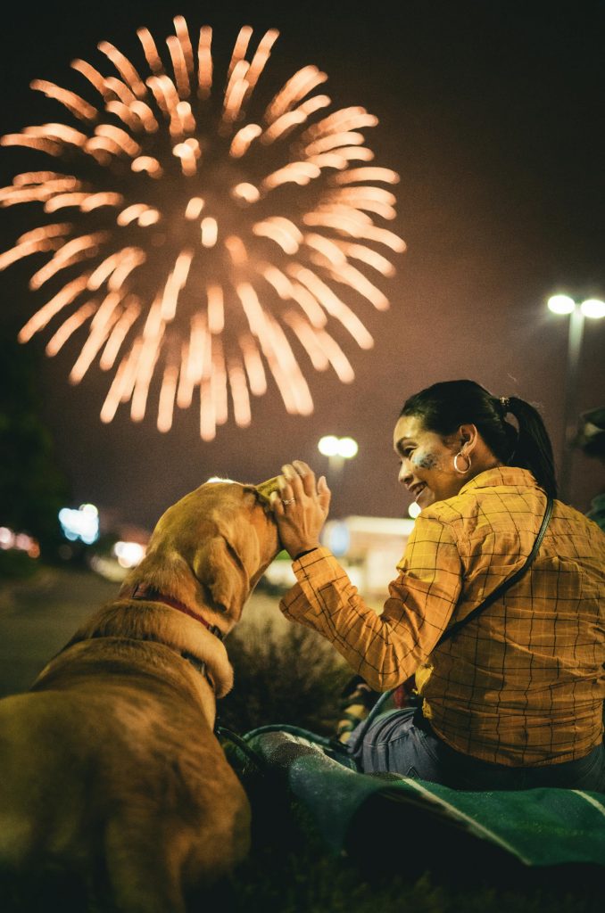 Don't Let Fireworks Freak Out Your Furry Friend - Calming Techniques for Fireworks Night 59 pexels sarocha s 803110934 19168109