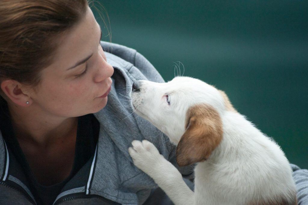 The Surprising Reason Pet Parents Choose Their Dog Over Their Love Partner 1 pexels freestockpro 1174081