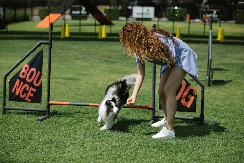 Dog Behaviorist vs Dog Trainer? How to Choose the Right Expert for Your Dog’s Needs 35 pexels blue bird 7210270