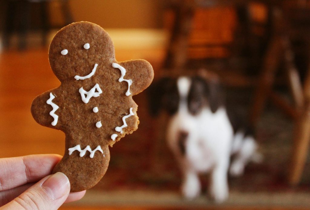 DIY Christmas Dog Treats: Festive Recipes Your Pup Will Adore 10 pexels noellegracephotos 906054