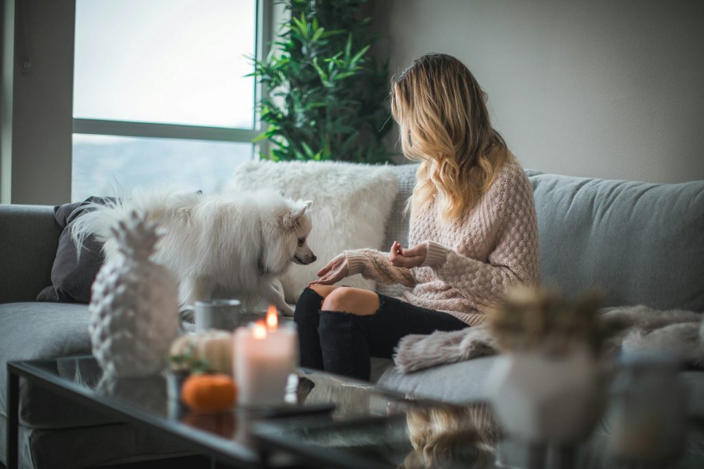 Lesser-Known Health Hazards for Pets at Home 9 roberto nickson q9nZUFC1nTw unsplash