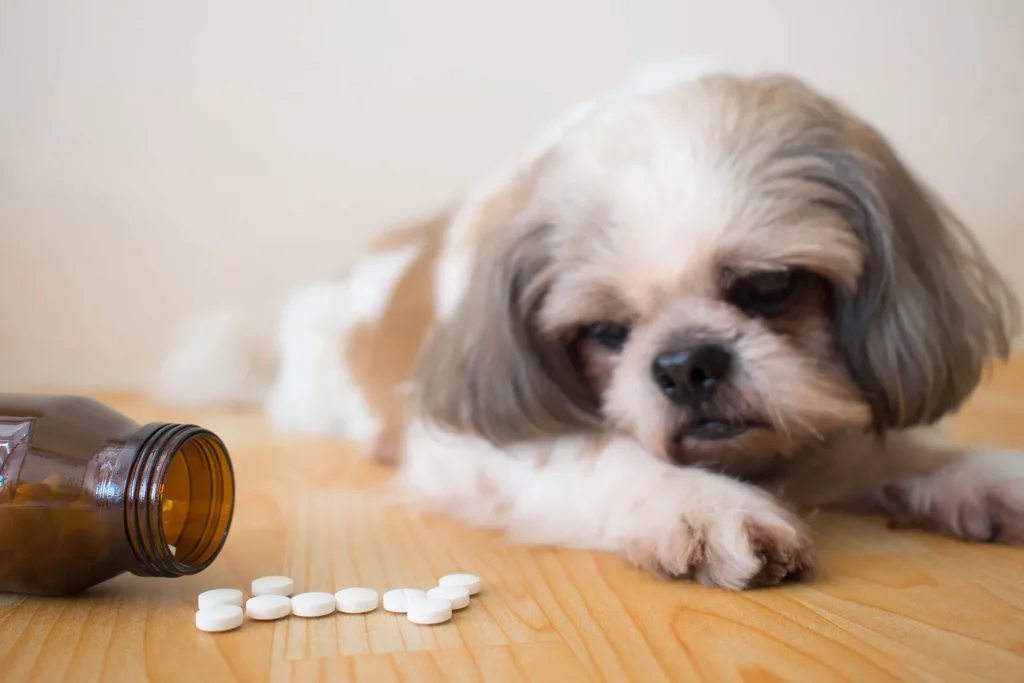 The 10 Best Dog Multivitamins for a Healthier and Happier Life 28 The 10 Best Dog Multivitamins for a Healthier and Happier Life 5