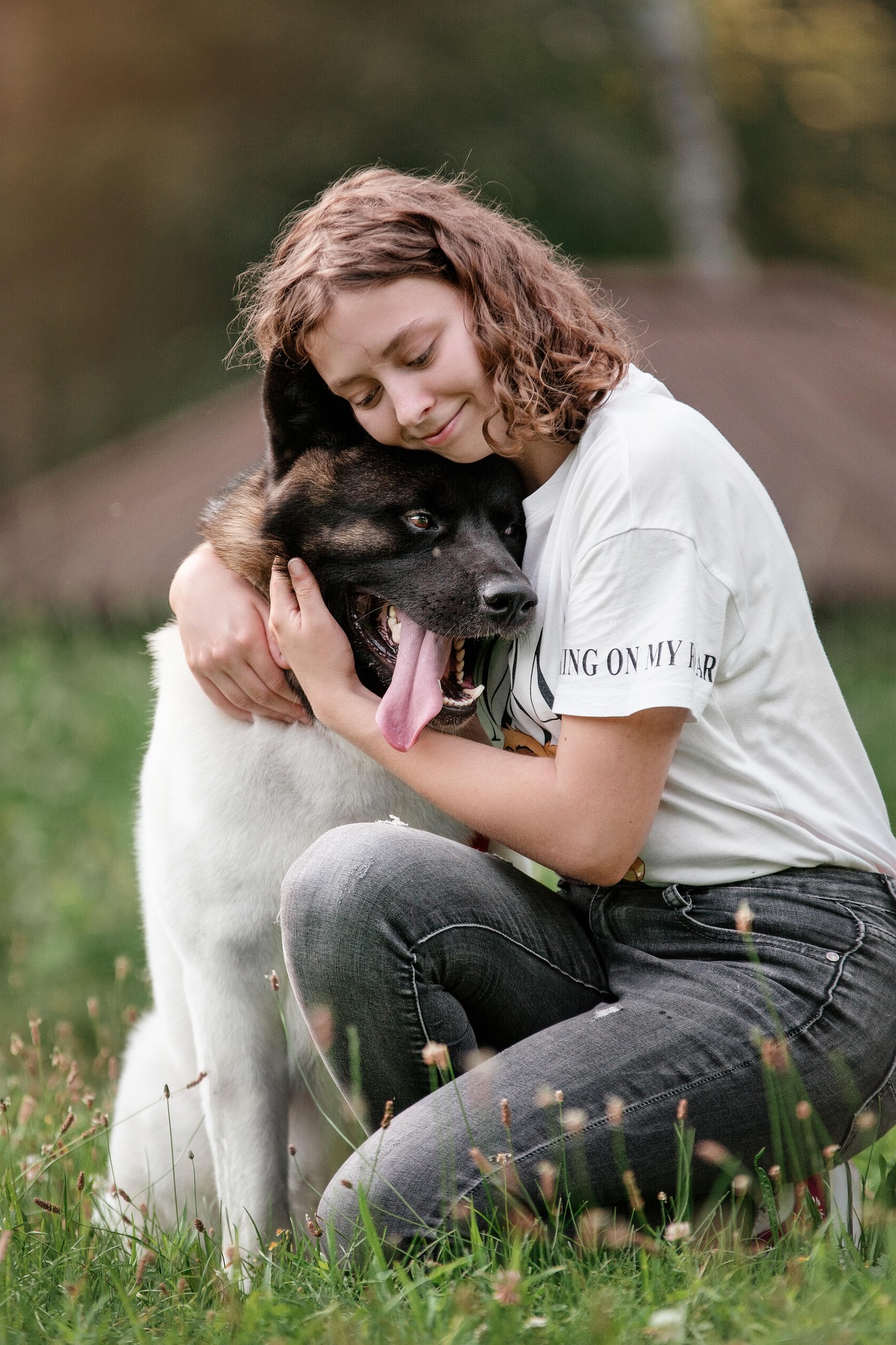 dog 5964181 1920