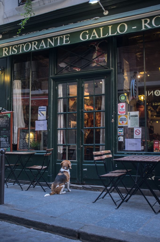 Italian Restaurants Proved Pet-Friendly Dining Works, How to Profit from It? 1 french restaurant 2506490 1920