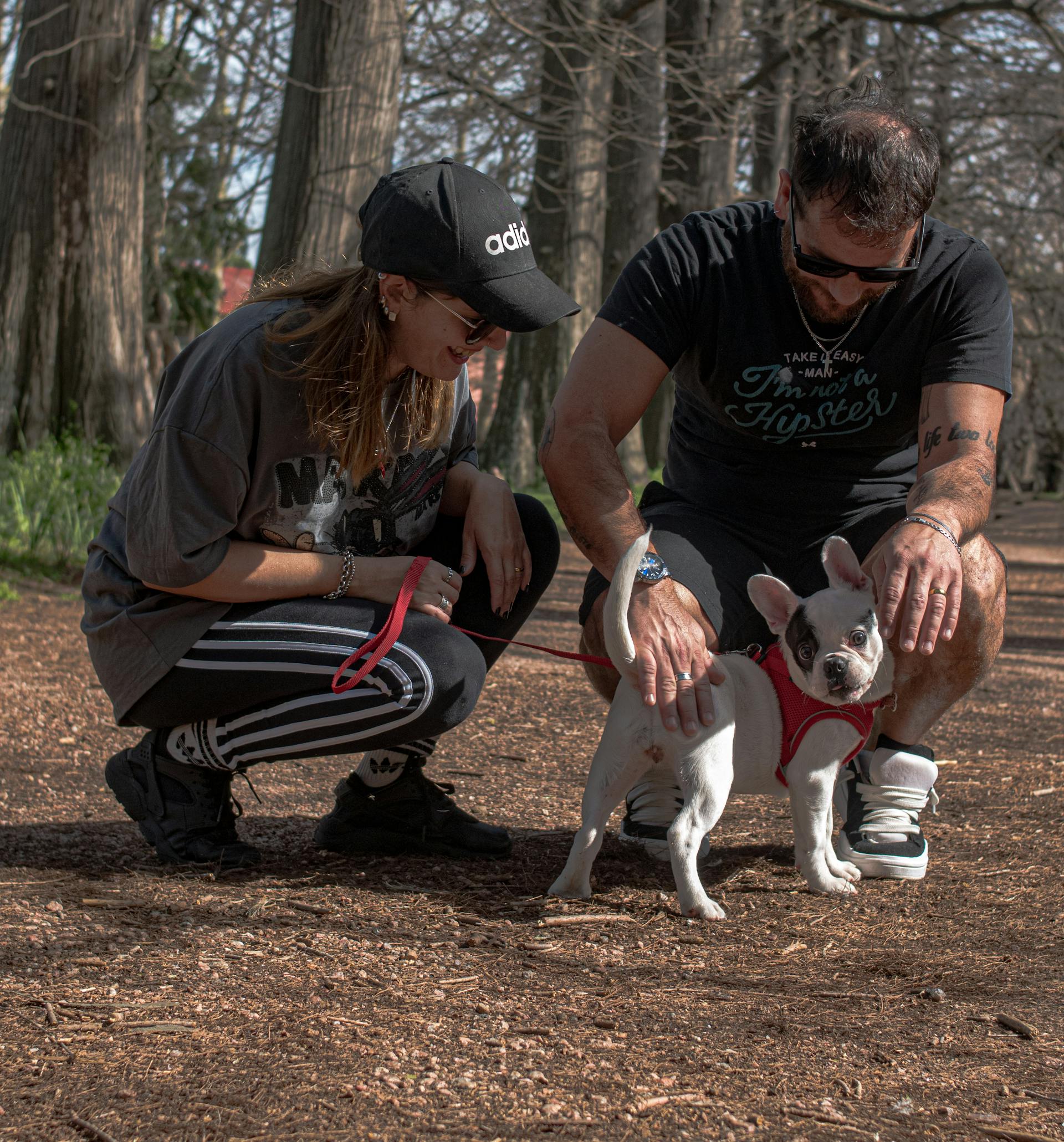 The Role of Dog Walking in Weight Management 1 pexels andrea mimbacas 2154454169 33728420