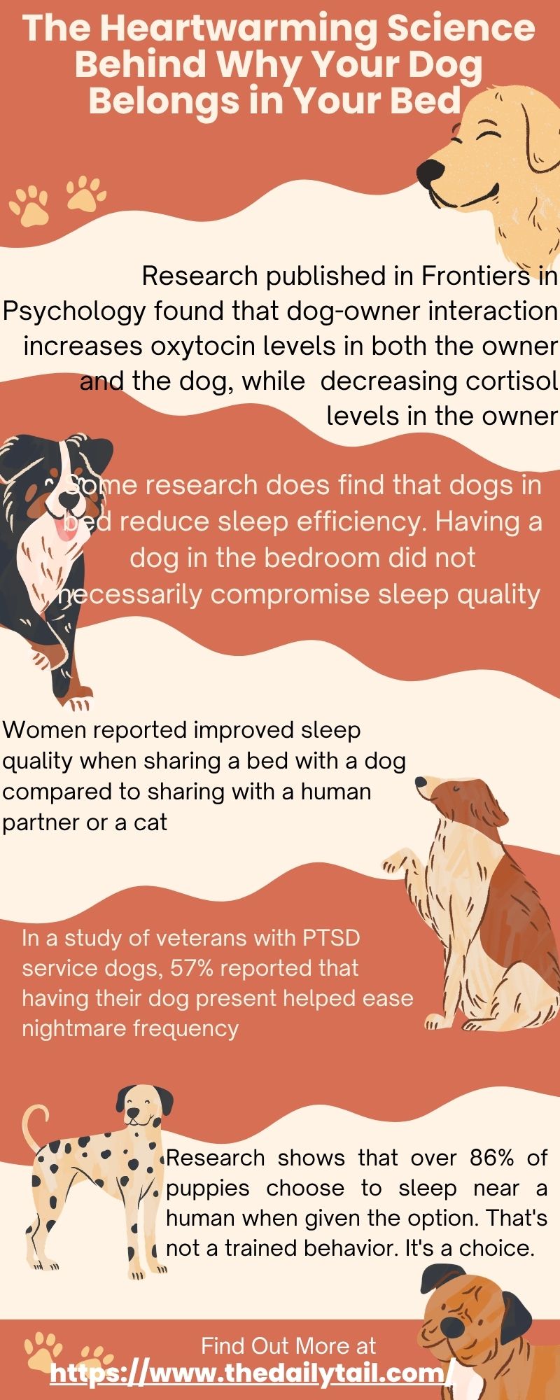 The Heartwarming Science Behind Why Your Dog Belongs in Your Bed 4 6 reasons you should let your dog sleep in your bed infographic